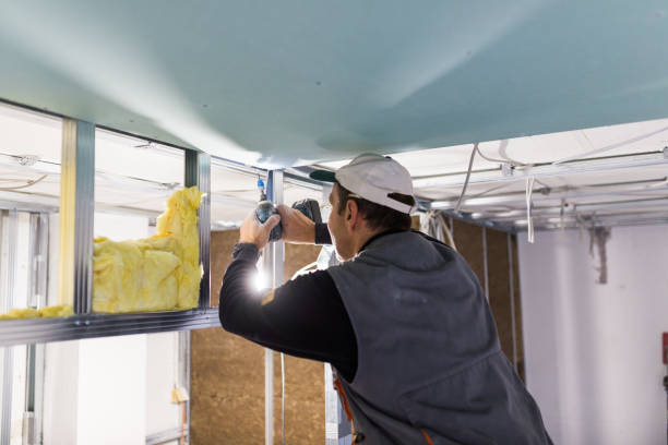 Best Wall Insulation Contractor  in Mulberry, NC