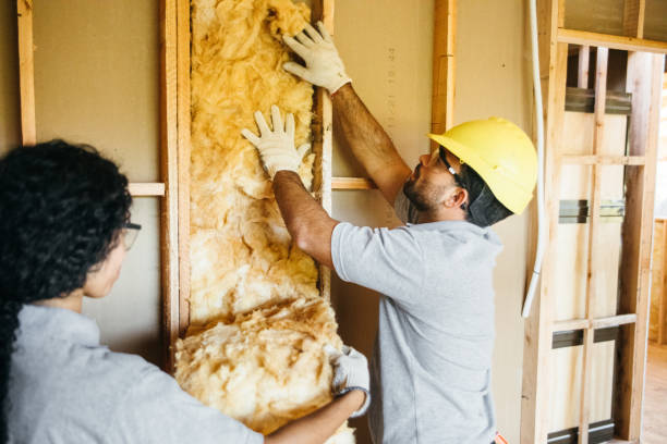 Best Insulation Contractors for Homes  in Mulberry, NC