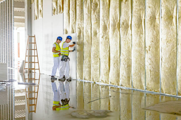 Best Professional Insulation Contractor  in Mulberry, NC